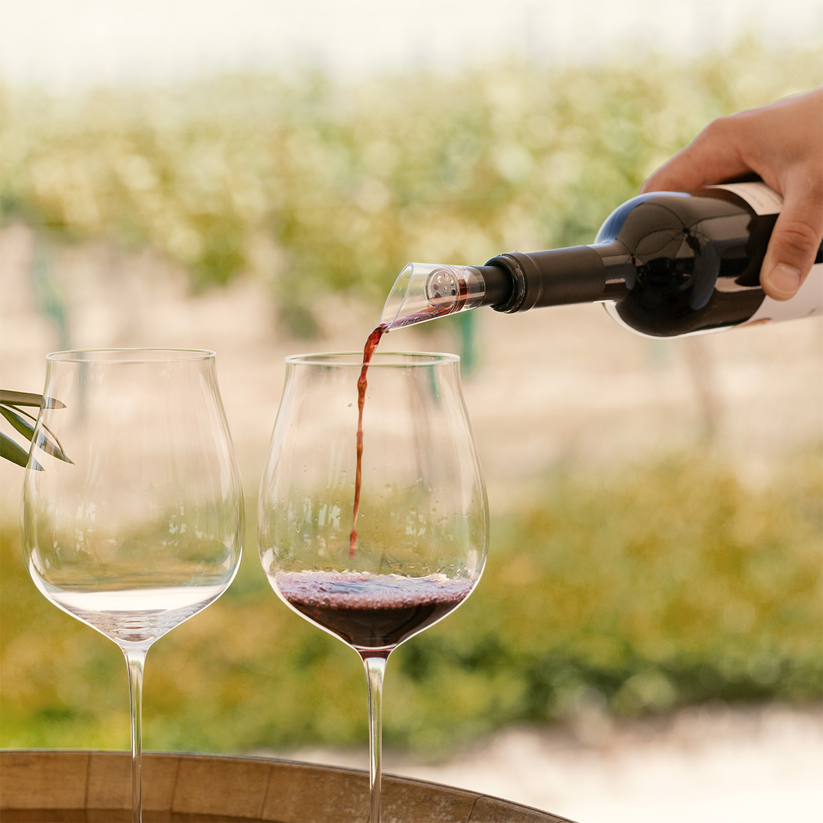 Versatore decantatore per vino | Lunasol