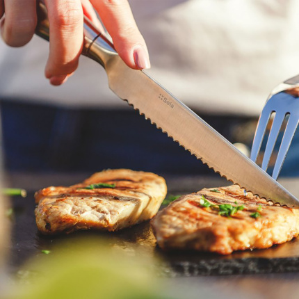 Coltello da bistecca con manico cavo 23,5 cm - Touch me